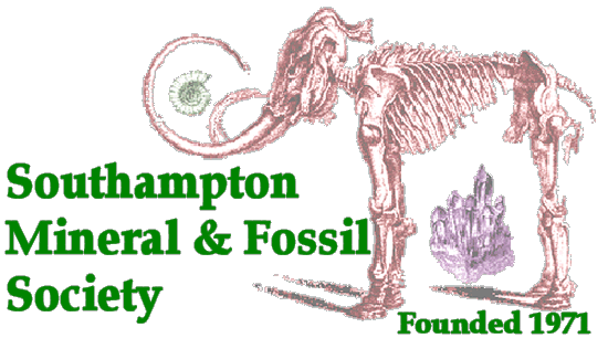 SMFS Logo