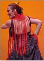 [Flamenco y Mas]
