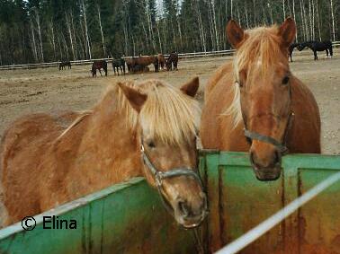 © Elina
