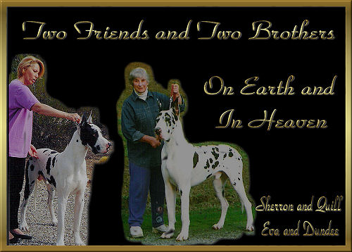 friends