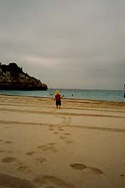 Elsa -allein- am Strand
