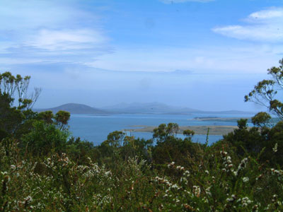 Cape Barren Is from Vinegar Hill Lady Barron