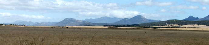 Central Flinders Island