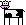 Plain Moo