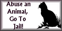 abuse an animal, go to jail