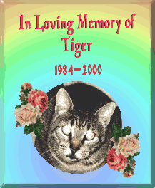 Tribute made by Doris