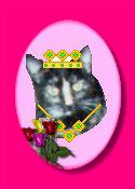 Scraps in jewels