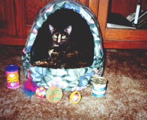 Scraps Birthday picture
