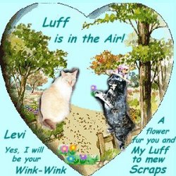 beautiful card from Scraps