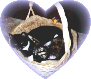 Scraps and Neek in basket