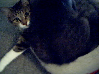 Sabrina Always In Front