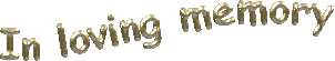 triple2.gif