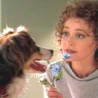 doggalpo1.jpg (5174 bytes)