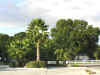 101_0102_2.JPG (1074640 bytes)
