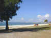g_beach_view4.jpg (49325 bytes)