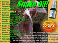 Link To Snakeoil Ad Parody