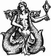 Pregnant Twin Tailed Mermaid Scrying-image