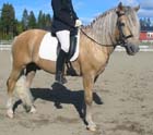 haly14