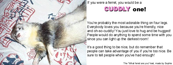 Take the ferret test!!!