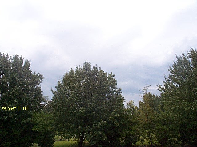 The storm over Mayesville
