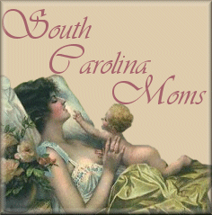 Visit South Carolina Moms