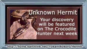 Which bitter hermit are you?