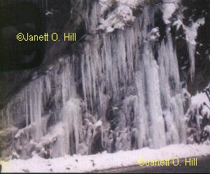Honeymoon picture--Frozen rain in the Smokies