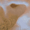 MEDDLE
