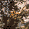 OBSCURED BY CLOUDS