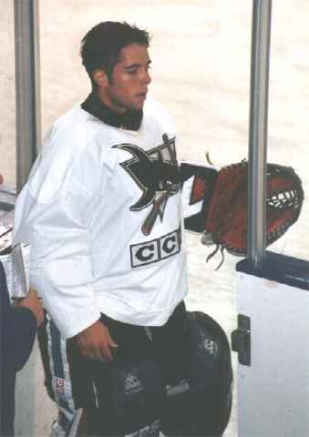 sharks tc