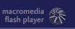 macromedia flashplayer download