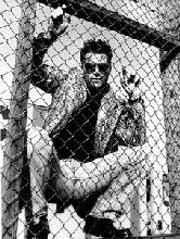 fence