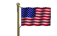 usa flag image