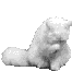 cat waiving image