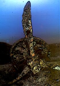 Br20 Elica1.jpg (14992 byte)