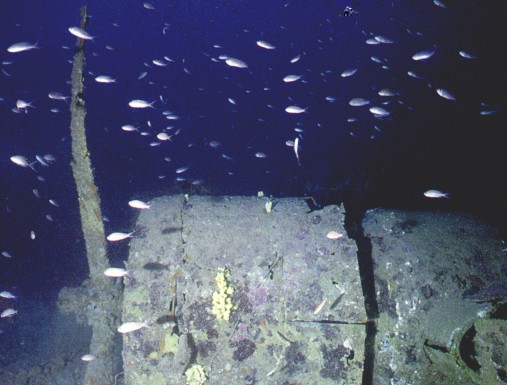 Br20 Motore dx.jpg (53900 byte)