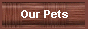 Our Pets