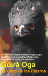 guira_1.gif (90184 bytes)