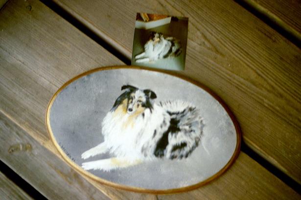 hund_1.JPG (36662 bytes)