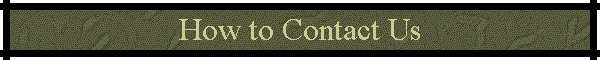 How to Contact Us