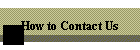 How to Contact Us