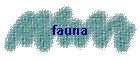 fauna