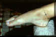 008bare.jpg (11871 bytes)