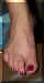 DCP_0182.jpg (19698 bytes)
