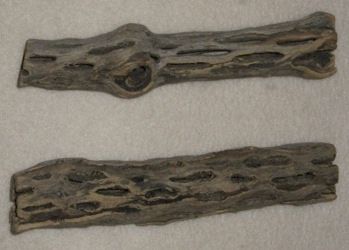 6in_Cholla_Logs.jpg (14643 bytes)