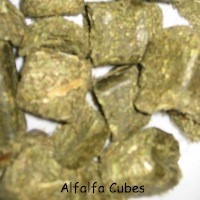 Alfalfa_Cubes.jpg (15432 bytes)