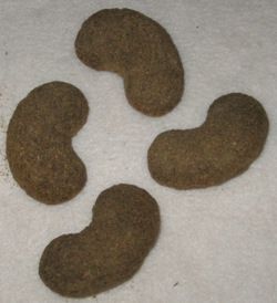 Apples___Oats_Cookies.jpg (11385 bytes)