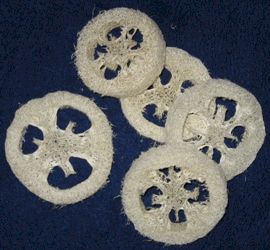 Loofah_Slices.jpg (17721 bytes)