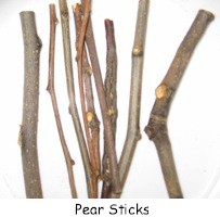 Pear_Sticks.jpg (12925 bytes)