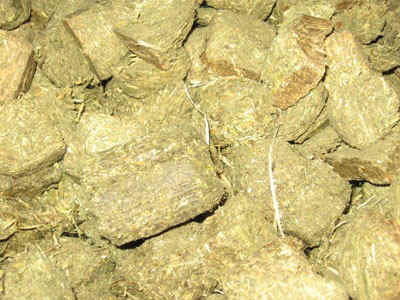 Timothy_Hay_Cubesa.jpg (57094 bytes)